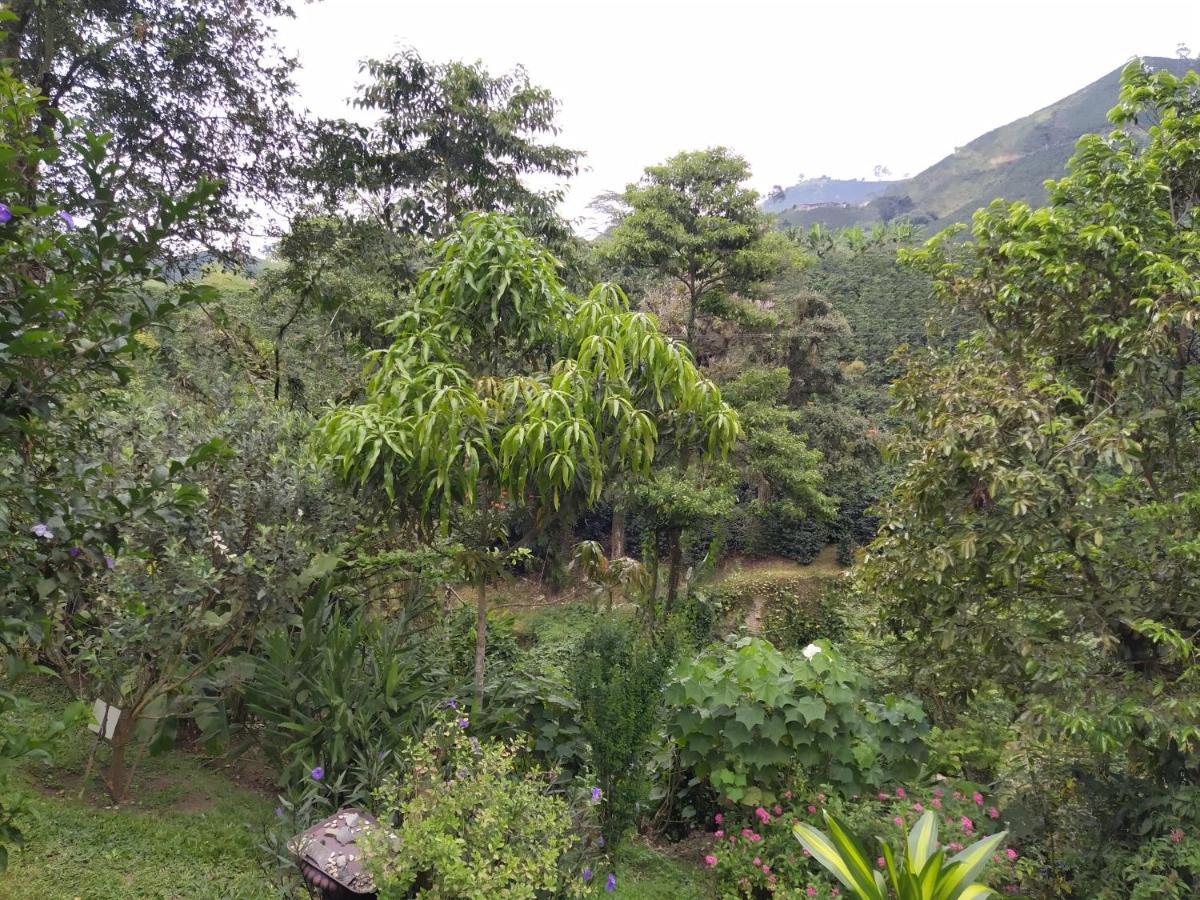 فيلا Hacienda Guayabal Chinchiná المظهر الخارجي الصورة